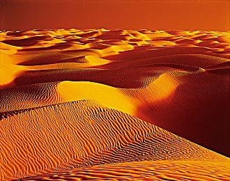 《太鼓之达人 咚咚雷音祭》体验版于今日发布！同步公开游戏软件收录乐曲内容