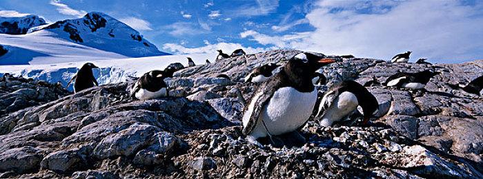 满血复活？沉寂多年中断开发的《’83》重新启动